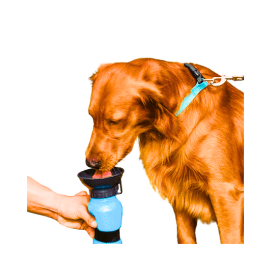 Aquadog flaša za vodu
